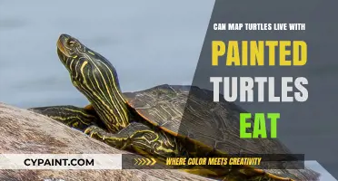 Cohabitation and Diet: Can Map Turtles Live with Painted Turtles?