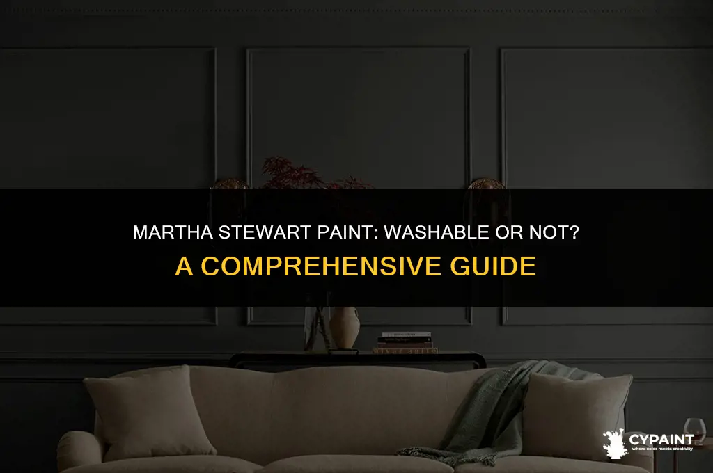 can martha stewart paint go through the wash