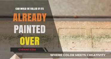How to Kill Mold Under Paint?