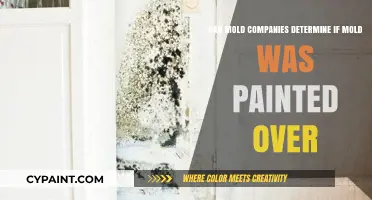 How Mold Companies Detect Painted-Over Mold