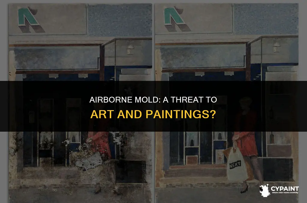 can mold spread through the air to paintings