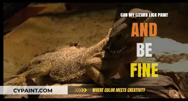 Is It Safe for My Lizard to Lick Paint?