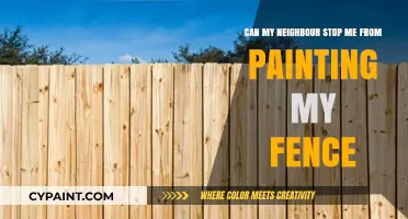 Your Fence, Your Rules: Neighbourly Fence Painting Rights