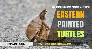 Mating Compatibility: Northern and Eastern Painted Turtles