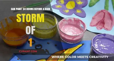 Painting Before the Storm: Tips for Quick Drying in 24 Hours