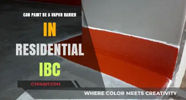 Paint as a Vapor Barrier: Residential IBC Guide