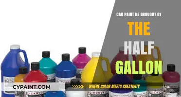 Exploring Paint Purchases: The Half-Gallon Option