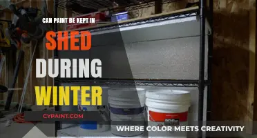Winter Storage Tips: Keeping Your Paint Safe in the Shed