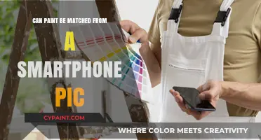 Decoding Colors: Can Paint Be Matched from a Smartphone Pic?