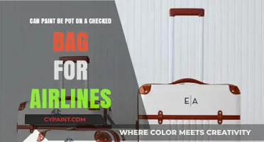 Can You Paint Your Checked Baggage for Airline Travel?