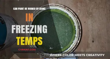 Freezing Temps: Can Paint Survive?