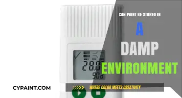 Exploring Paint Storage: Damp Conditions and Their Impact