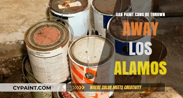 Eco-Friendly Disposal: The Truth About Paint Cans in Los Alamos