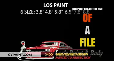 Exploring the Impact of Paint on File Size: A Comprehensive Guide