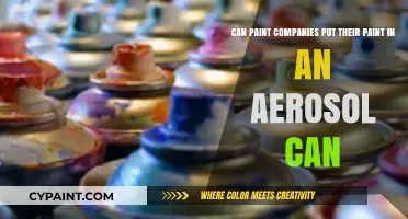 Can Paint Companies Package Their Products in Aerosol Cans?