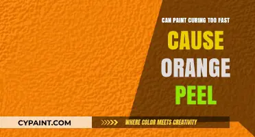 Exploring the Effects of Rapid Paint Curing on Surface Texture