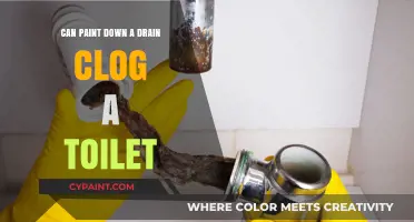 Can Paint Down a Drain Clog a Toilet?