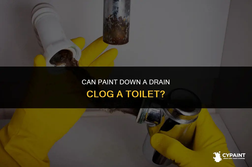 can paint down a drain clog a toilet