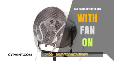 Fast-Drying Paint: Fan Power in 10 Minutes