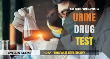 Exploring the Impact of Paint Fumes on Urine Drug Tests