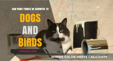 Paint Fumes: Are They Poisonous to Birds and Dogs?