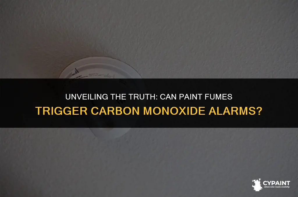 can paint fumes set off carbon monoxide alarm