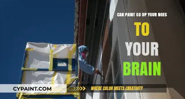 Paint Sniffing: Brain Damage Through Your Nose