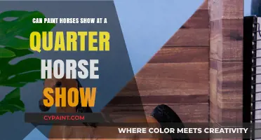 Paint Horses: Allowed at Quarter Horse Shows?