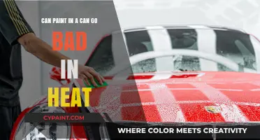 Heat and Paint: A Bad Mix?
