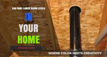 Fresh Coat, Fresh Air: Can Paint Really Lower Radon Levels?