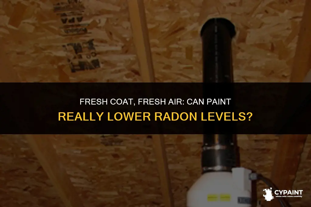 can paint lower radon levels in your home