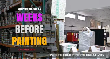 How Long Can Paint Sit Before Use?