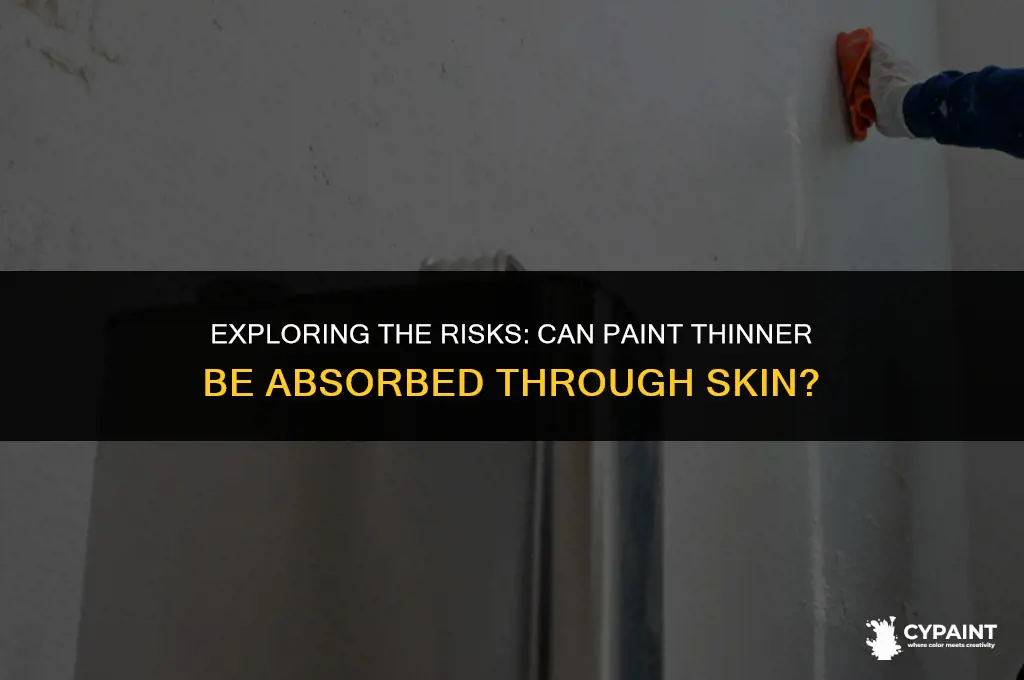 can paint thinner be absorbed through the skin