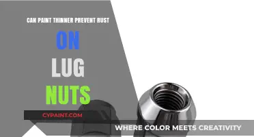 Rust Prevention Hacks: Can Paint Thinner Protect Your Lug Nuts?