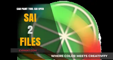 Exploring Paint Tool SAI: Can It Open SAI 2 Files?