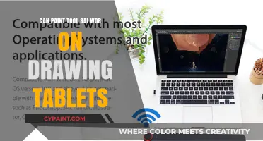 Exploring Paint Tool SAI's Compatibility with Drawing Tablets