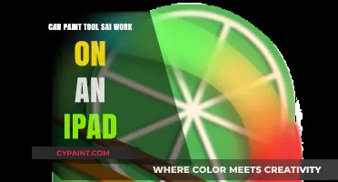 Exploring Paint Tool SAI's Compatibility with iPad: A Comprehensive Guide