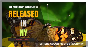 Transforming Gardens: The Painted Lady Butterfly's New York Debut