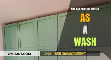 Exploring the Versatility of Pax Paint: Wash Applications Revealed