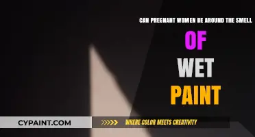Pregnancy and Paint Fumes: Is Wet Paint Smell Safe?