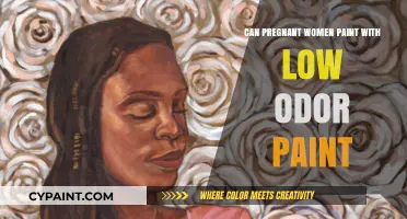 Safe Painting Practices for Expectant Mothers: Low-Odor Options