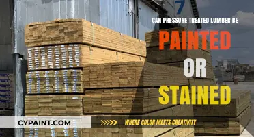 Enhancing Durability: Painting and Staining Pressure Treated Lumber