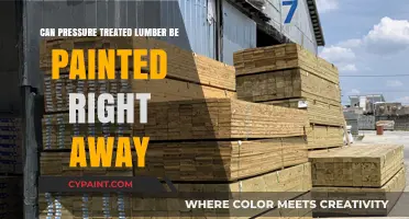 Painting Pressure-Treated Lumber: What You Need to Know