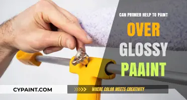 Primer Power: Transforming Glossy Surfaces with Ease