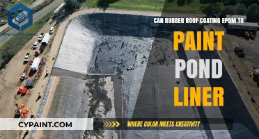 Rubber Roof Coating: EPDM Pond Liner Paint Solution