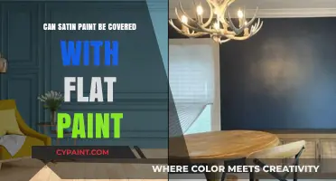 Transforming Satin to Flat: A Comprehensive Guide on Paint Coverage