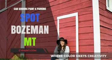 Empowering Seniors: Painting Parking Spots in Bozeman, MT