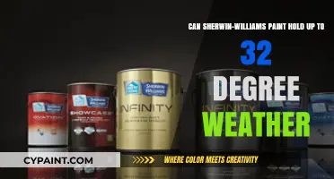 Sherwin-Williams Paint Durability: Can It Withstand 32-Degree Weather?