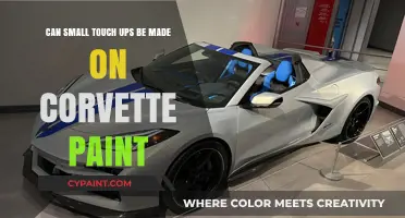 Corvette Paint Touch-ups: Small Changes, Big Impact