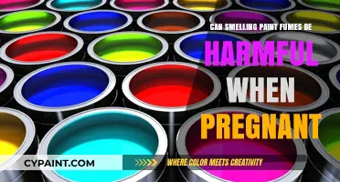 Pregnancy and Paint Fumes: Understanding the Potential Risks